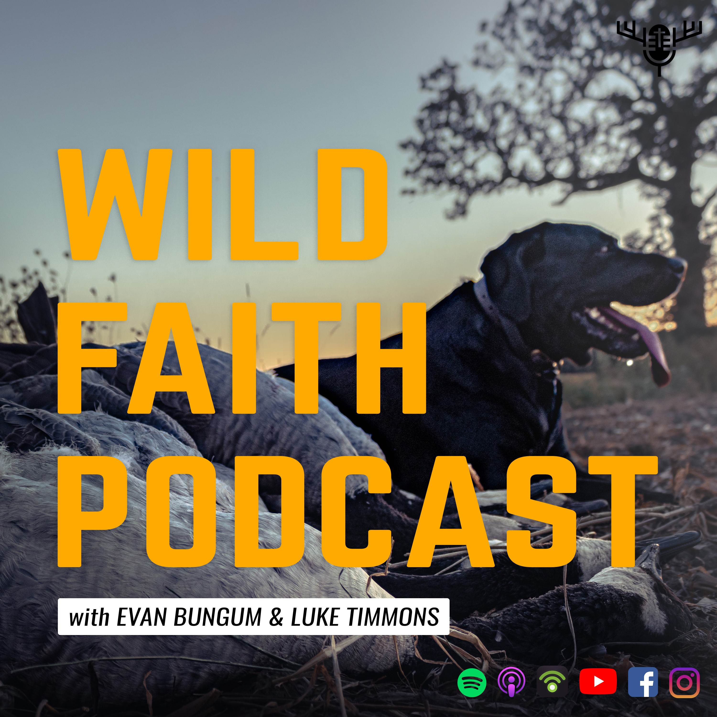 Wild Faith Podcast