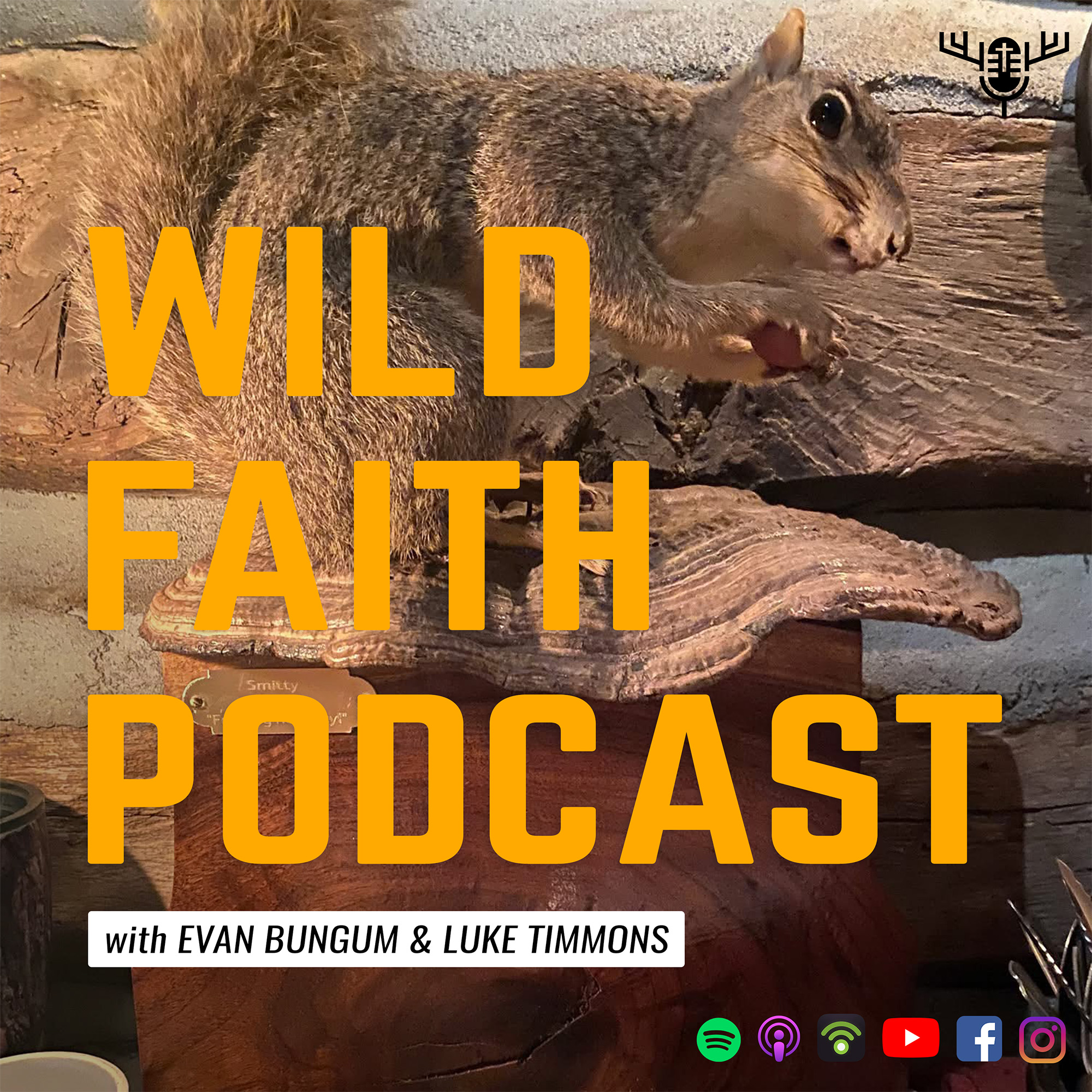 Wild Faith Podcast