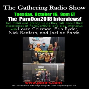 The ParaCon 2018 Interviews!