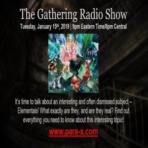 Heidi and Stephanie chat about Elementals in this episode of The Gathering!