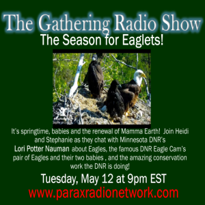 Lori Potter Nauman from the DNR talks Eagles and consevation!