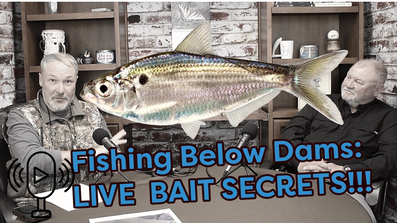 Brilliant Fishing NC