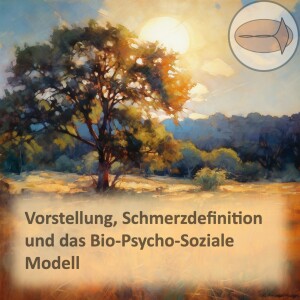 Vorstellung, Schmerzdefinition und das Bio-Psycho-Soziale Modell