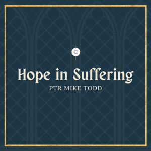Hope in Suffering | Romans 8 Part 2
