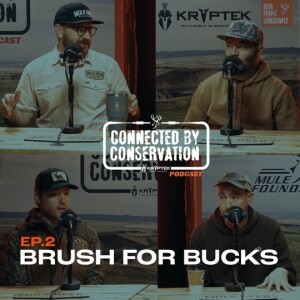 Brush for Bucks