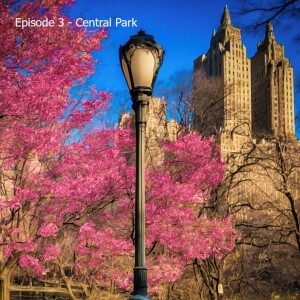 Episode 3 - Central Park