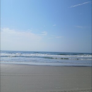 #91 On The Beach