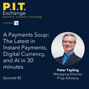 A Payments Soup: The Latest in Instant Payments, Digital Currency, and AI in 30 minutes - Peter Tapling - Episode #2