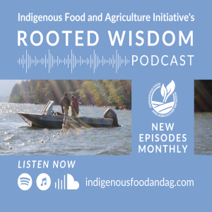 Introduction to Rooted Wisdom