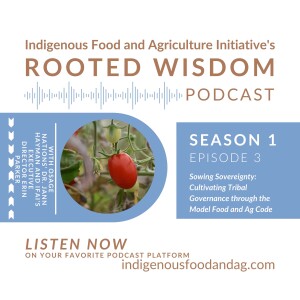 Trailer for Episode 3: Sowing Sovereignty: Cultivating Tribal Governance through the Model Food and Ag Code