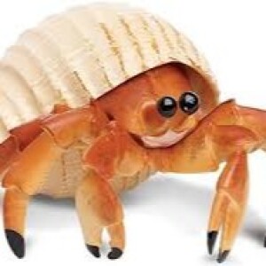 Crab Talk