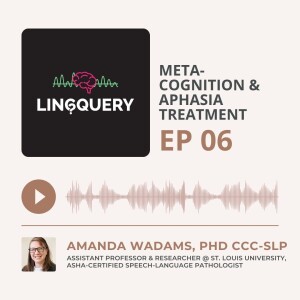 Meta-Cognition & Aphasia Treatment