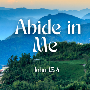 Abide in Me