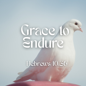 Grace to Endure