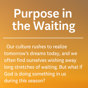 Purpose In Waiting