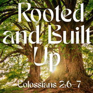 Rooted and Built Up