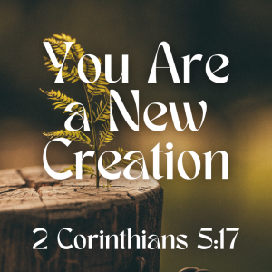 “You Are a New Creation”