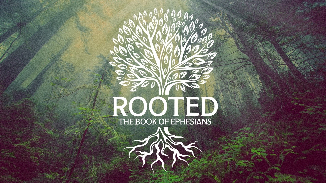 Rooted Part 9 - 08051818 Tom Duchemin 1030