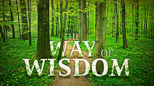 The Way of Wisdom - Part 9