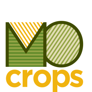 2022 Rice Review