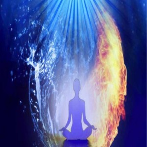 The Nature of the Body and Consciousness