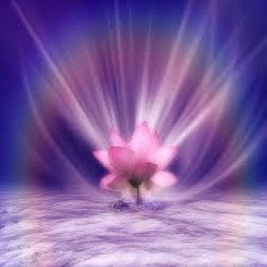 How to See the Beauty in Every Aspect of Your Life