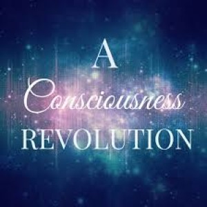 Navigating a Revolution of Consciousness