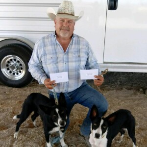 Canine Companions On The Ranch