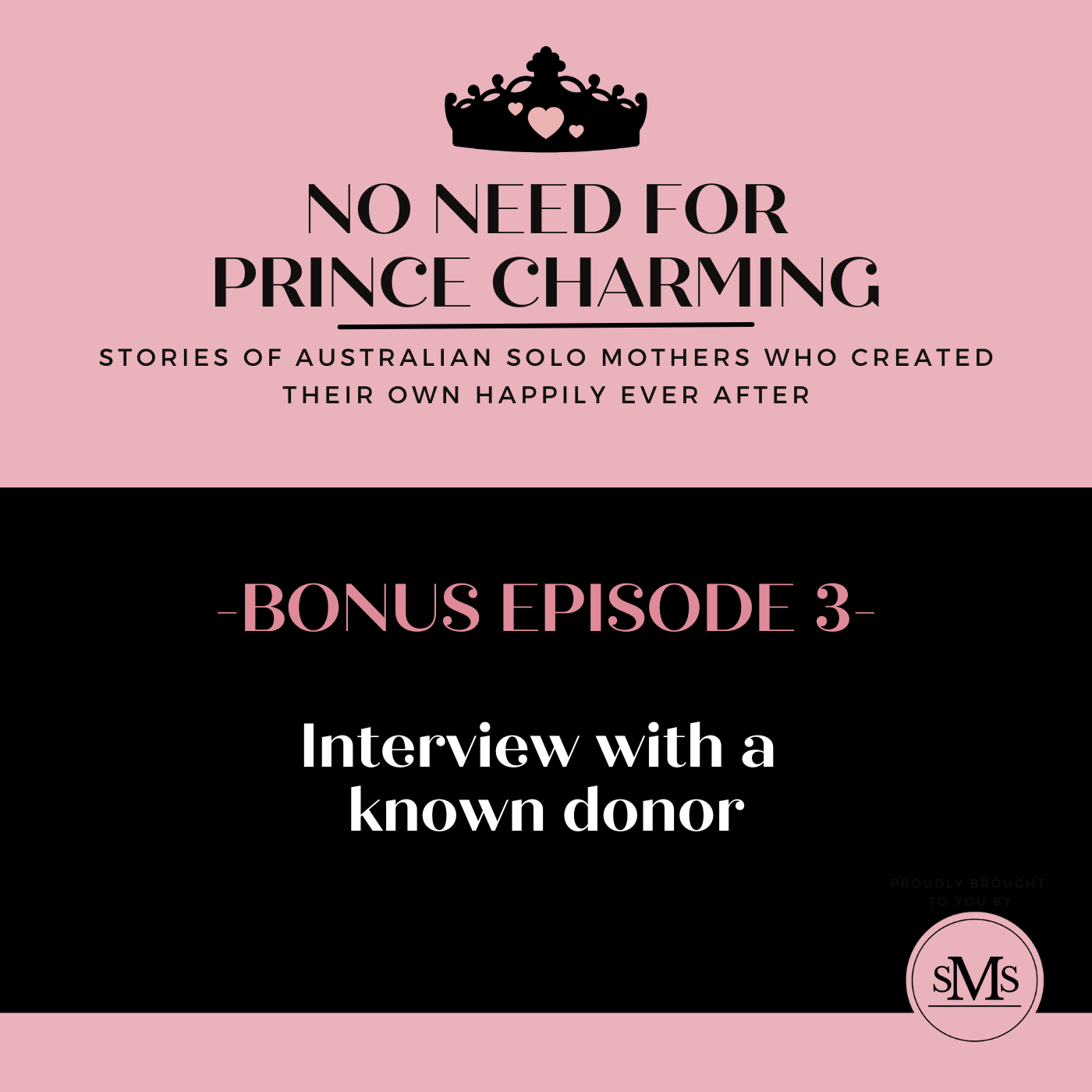 Bonus Episode 3 – Interview with a donor