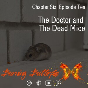 The Doctor and The Dead Mice