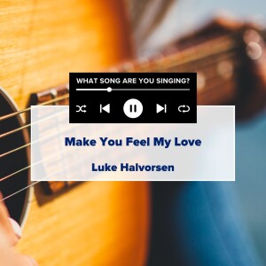 WSAYS Series | Make You Feel My Love | Luke Halvorsen