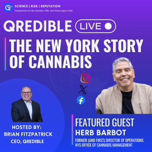 The New York Story of Cannabis