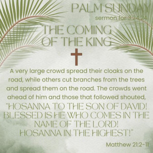 The Coming of the King: Palm Sunday Message