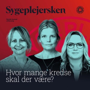 Podcast 2: Hvor mange kredse skal der være?