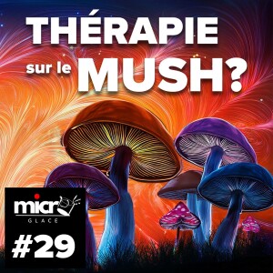 L'histoire du LSD et des champignons MAGIQUES, l'expérience de Kévin - Micro Sur Glace #29