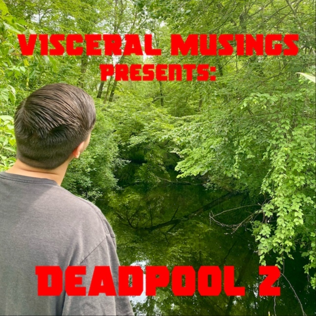 Visceral Musings
