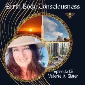 Episode 13: Collective Awakening Gridwork Traveller with Valerie A. Elster