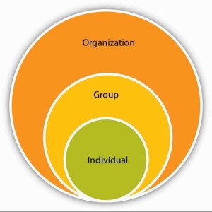 POD1 - Introducing Organisational Behaviour