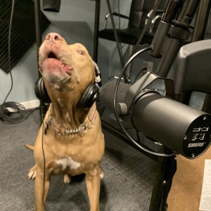 The Other Stuff Podcast Episode 10. Why dogs are the best!...Who's a good dog?