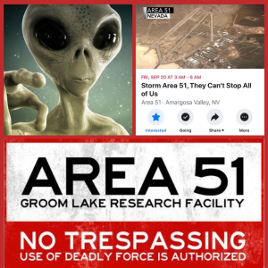 The Other Stuff Podcast Episode 4. Area 51 Raid - The search for ALIENS!