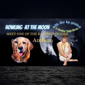 K9 Spirit Guide Anthea: Healing the Divine Feminine Within You! | Heather Leigh Strom