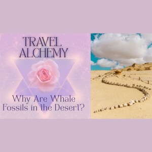 Why Are Whale Fossils in the Desert? Discover the Ancient Truth in Egypt