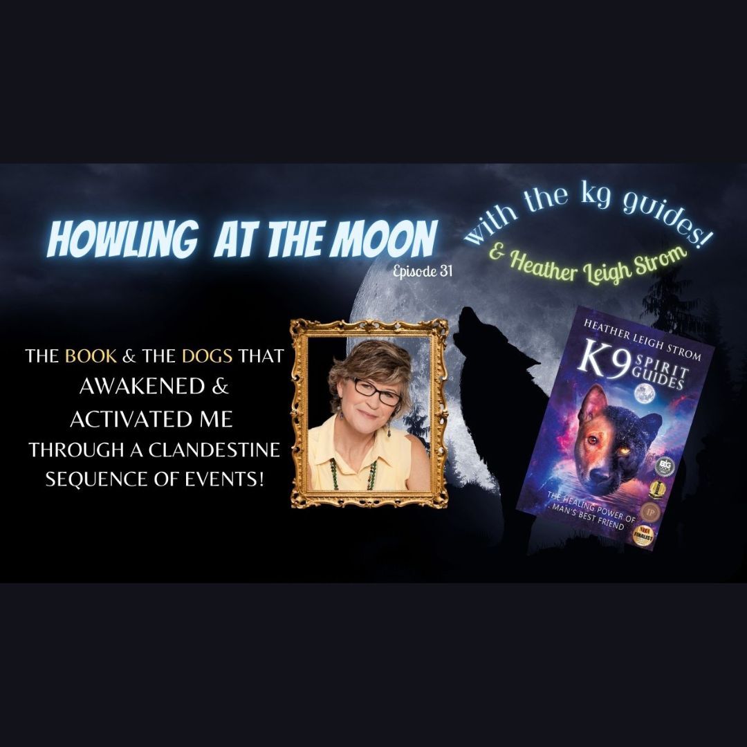 Gnostic TV Network