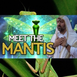 Channeled Messages from the Mantis with Toni Ghazi | Shocking Connection to Higher-Dimensional Realms & Earth's Purpose on Spiritually Raw