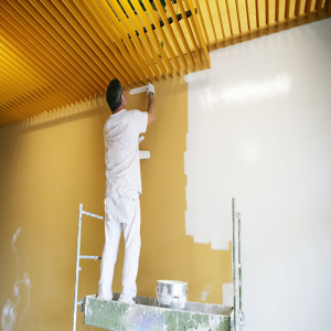 Elevate Your House’s Aesthetic With Modern Painting Trends