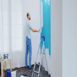 How Expert Painters Can Revitalise Your Property? Read to Know