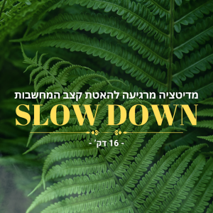 מדיטציה מרגיעה להאטת קצב המחשבות - 16 דק'