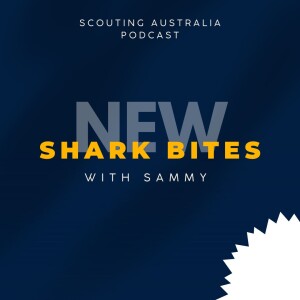 Shark Bites - Q&A#4 ”The Trifecta Of Idiocy”