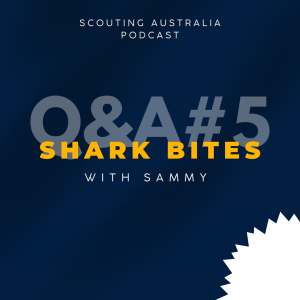 Shark Bites Q&A#5 - Rates, Property Valuations & Court Costs