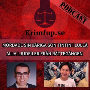 Ljudfiler från rättegången i Luleå om mordet på 8åriga Tintin  - Sebastian - Vittne